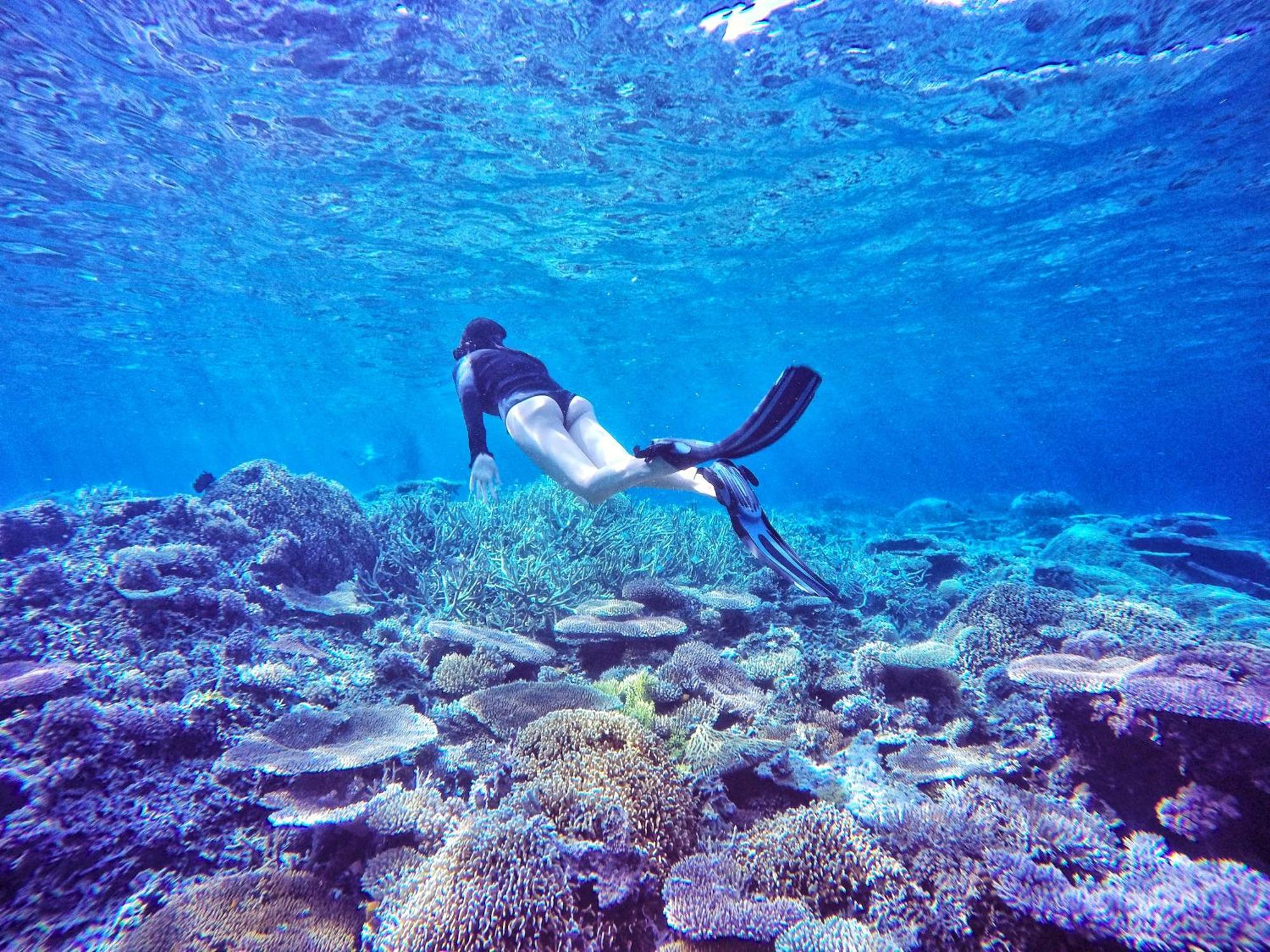 Bolilanga Island Resort - Togean Island Angkayo Ngoại thất bức ảnh