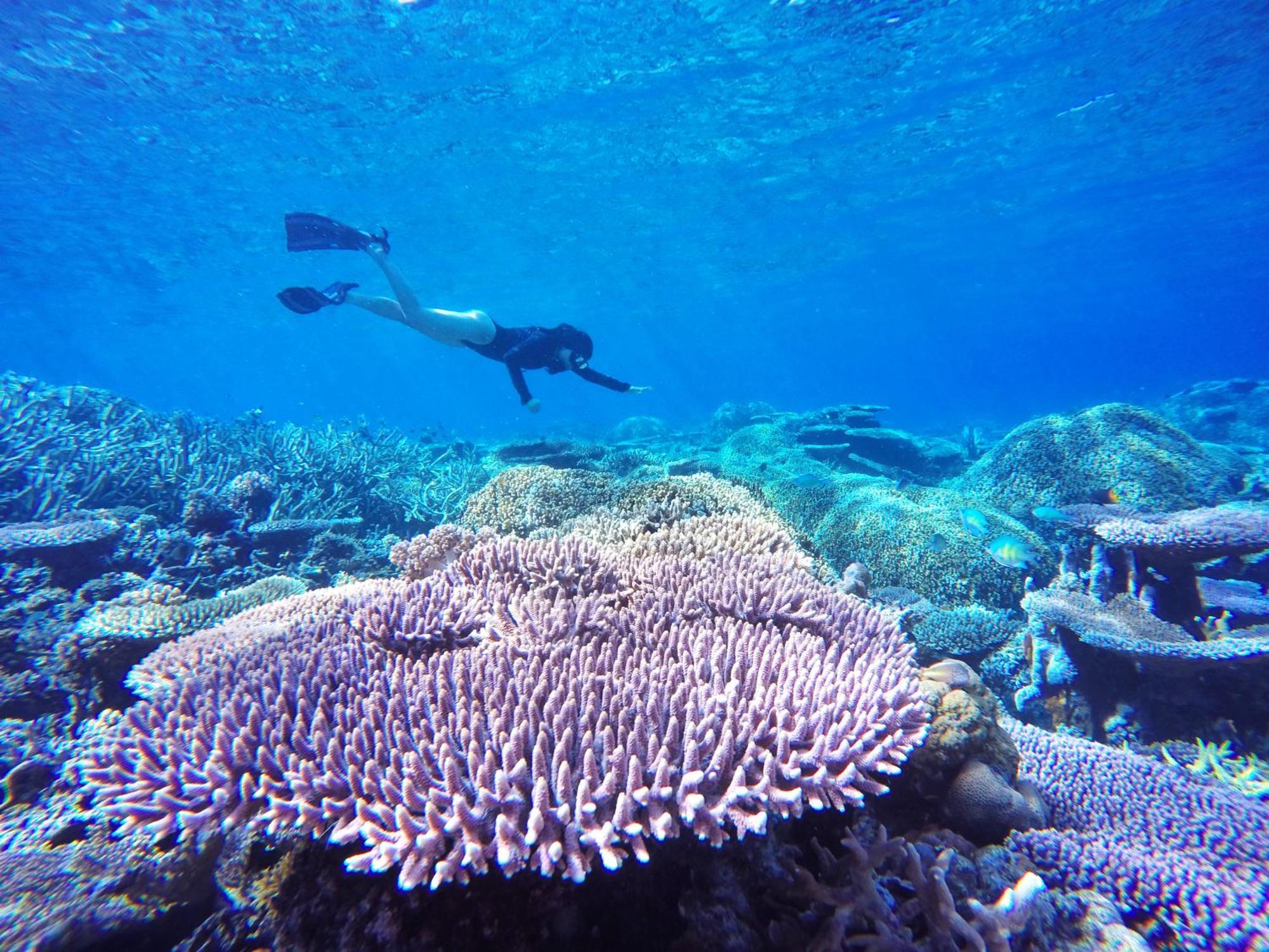 Bolilanga Island Resort - Togean Island Angkayo Ngoại thất bức ảnh