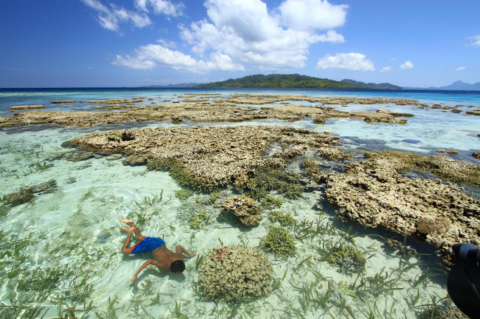 Bolilanga Island Resort - Togean Island Angkayo Ngoại thất bức ảnh