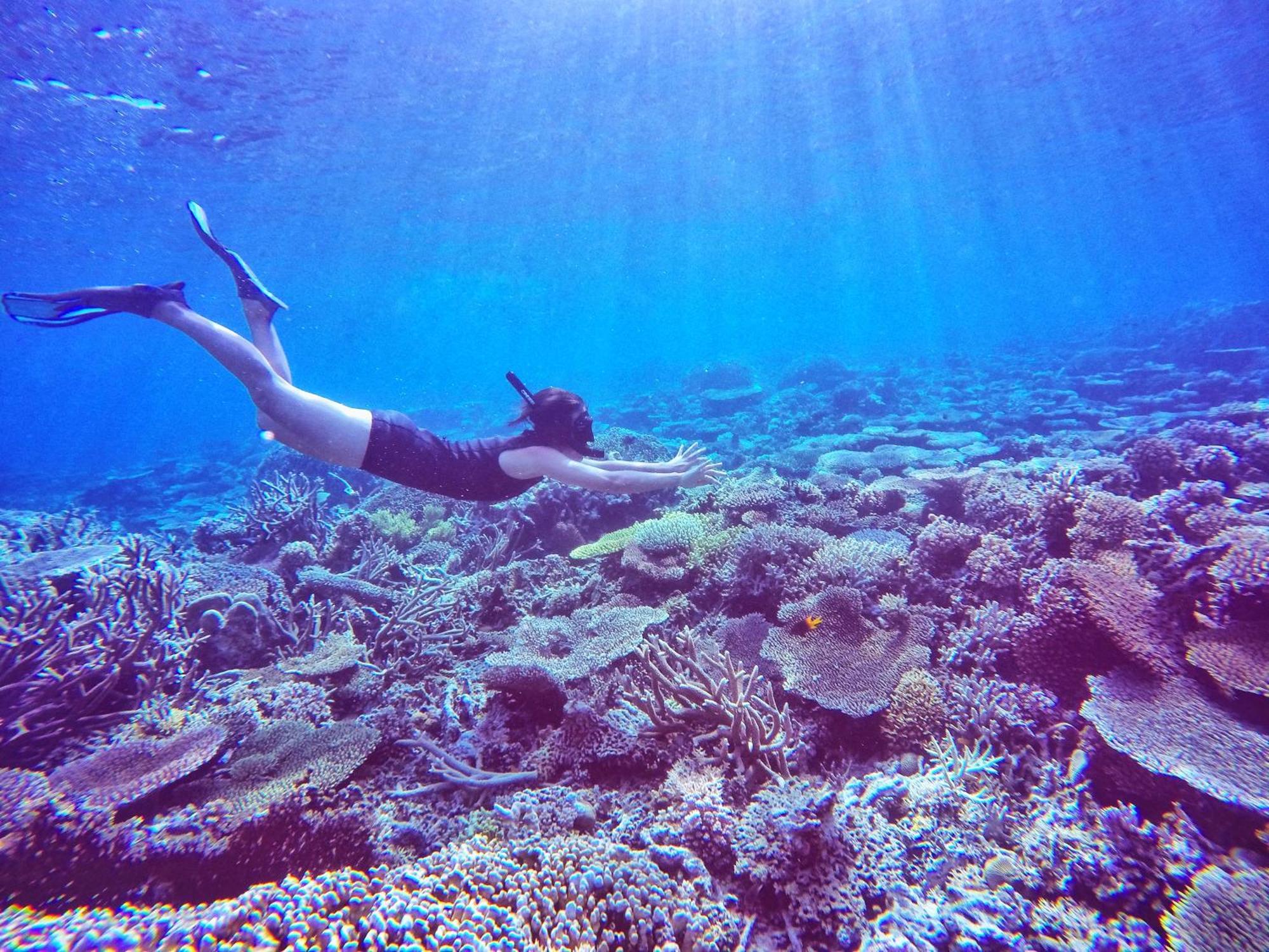 Bolilanga Island Resort - Togean Island Angkayo Ngoại thất bức ảnh