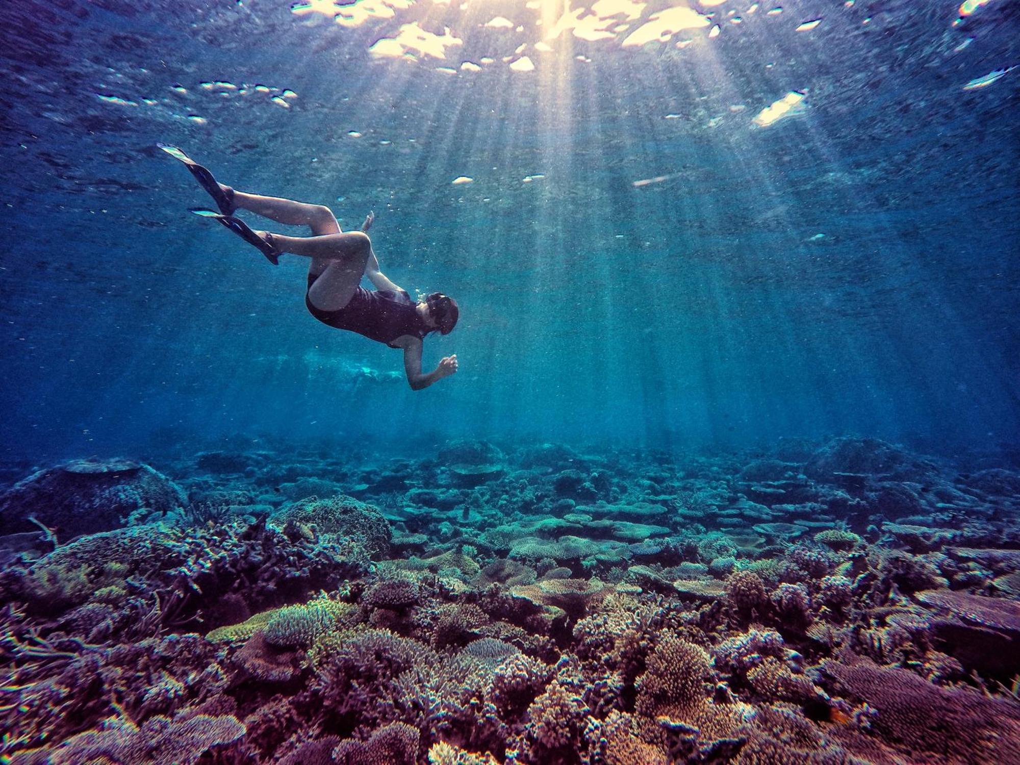 Bolilanga Island Resort - Togean Island Angkayo Ngoại thất bức ảnh